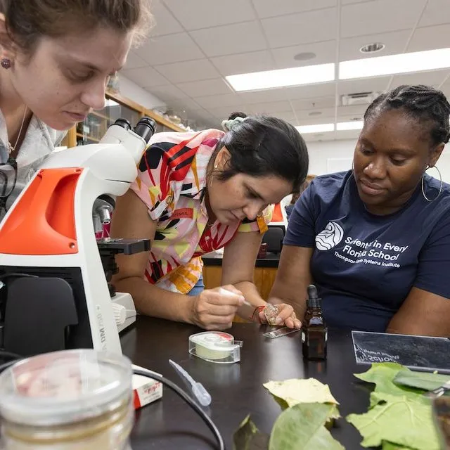 thumbnail for publication: Using Cooperative Learning in Formal and Nonformal Education